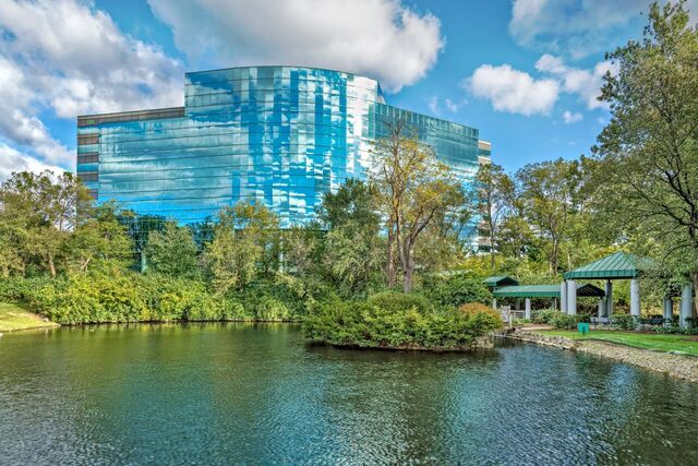 801 pond walkway picture.jpg